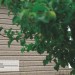 Сайдинг Ю-Пласт TIMBERBLOCK Пихта (Тимберблок) Cахалинская купить в Бутурлиновке