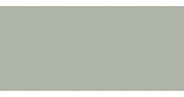 Сайдинг CEDRAL smooth (гладкий) С06 купить в Бутурлиновке
